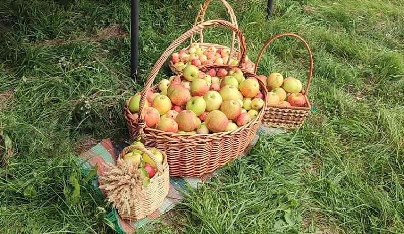 В Людиновском районе отметили Яблочный спас