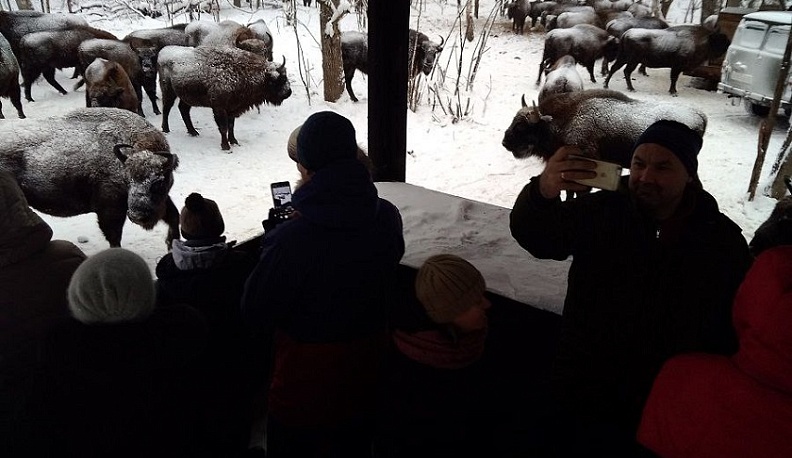 2,6 миллиона россиян выбрали отдых на заповедных территориях страны в начале 2026 года