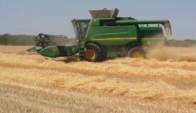 Дожди тормозят финиш страды