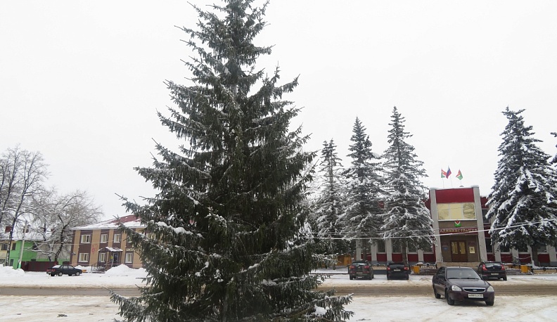 В Спас-Деменске установили и готовятся наряжать главную городскую елку