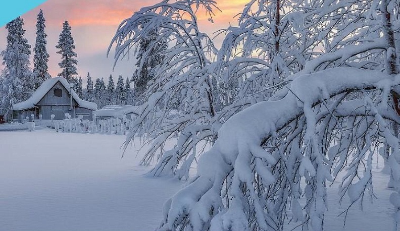 Сотрудники калужской спортшколы «Олимп» поддерживают решения президента