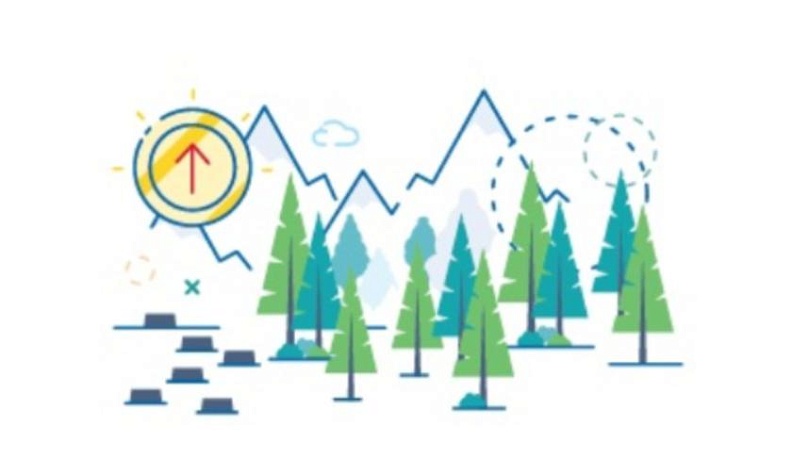 В борьбе с лесными пожарами будут использоваться цифровые технологии  