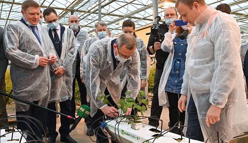 В Калужской области открылась цветочная компания