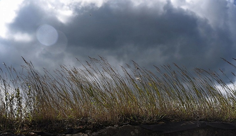 МЧС предупредило об усилении ветра в Калужской области 10 мая
