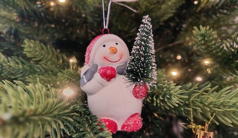 Россельхознадзор исполнил новогодние желания детей в Калужской области