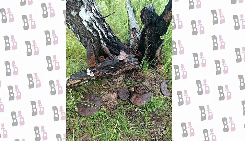 Недалеко от одной из деревень Калужской области обезвредили 49 снарядов