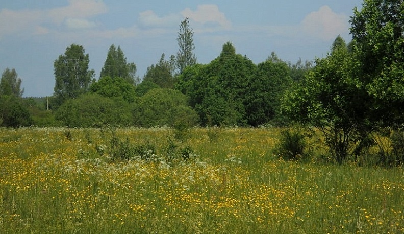 В Калужской области подвели итоги муниципального земельного контроля