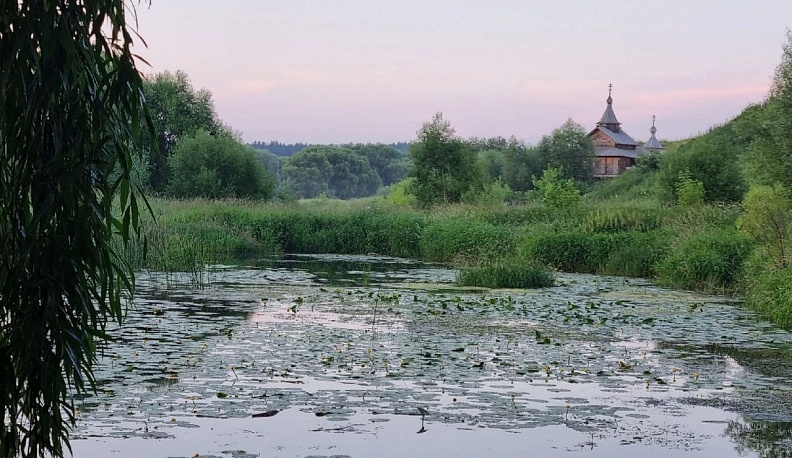 Владислав Шапша поручил тщательнее разобраться с замором рыбы в Протве и Болве
