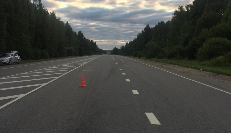 В Калужской области насмерть сбили пешехода на трассе