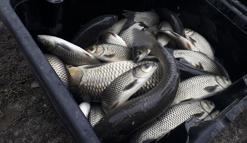 Озеро Бездонное Перемышльского района пополнилось запасами рыбы 