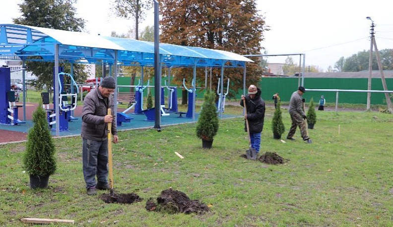 Красота своими руками