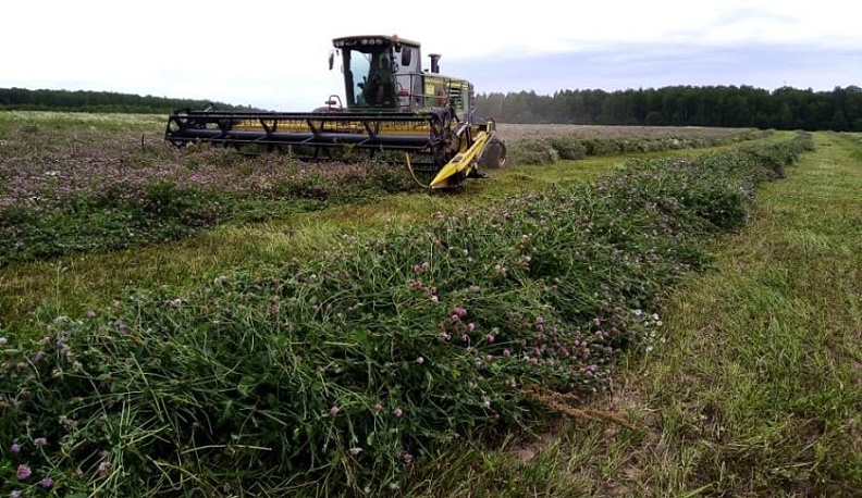 Август торопит