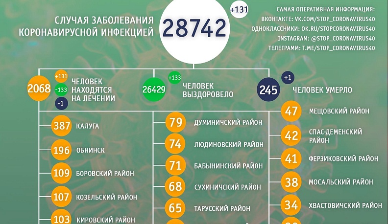 От коронавируса за сутки в Калужской области скончался один человек