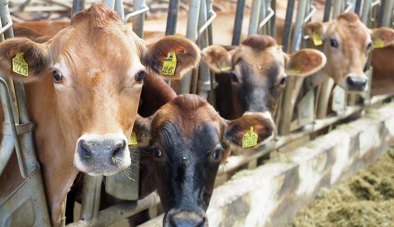 Идём к заветной цели