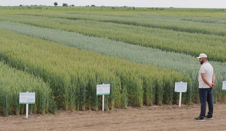 К 2023 году в Калужской области планируется вернуть в сельхозоборот 200 тысяч гектаров земли