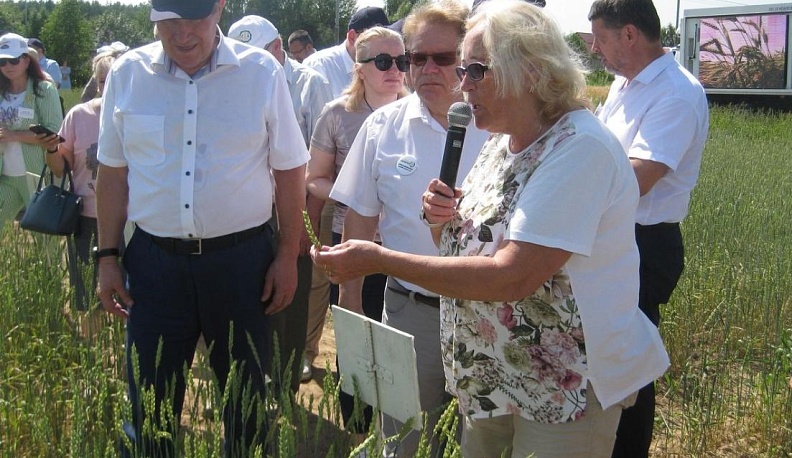 День поля  с академиками