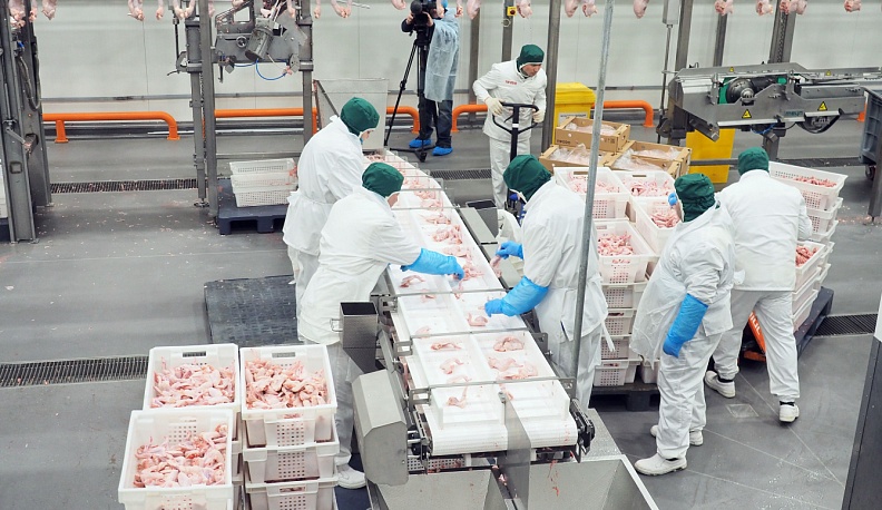 Калужская птицефабрика вышла на федеральный этап конкурса