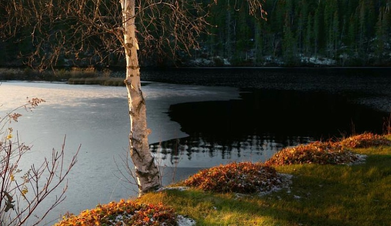 Зима близко: в Калуге установилась температура ниже нуля