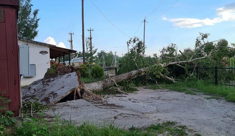 В Дзержинском районе сильнейший ураган повалил более полутора сотен деревьев