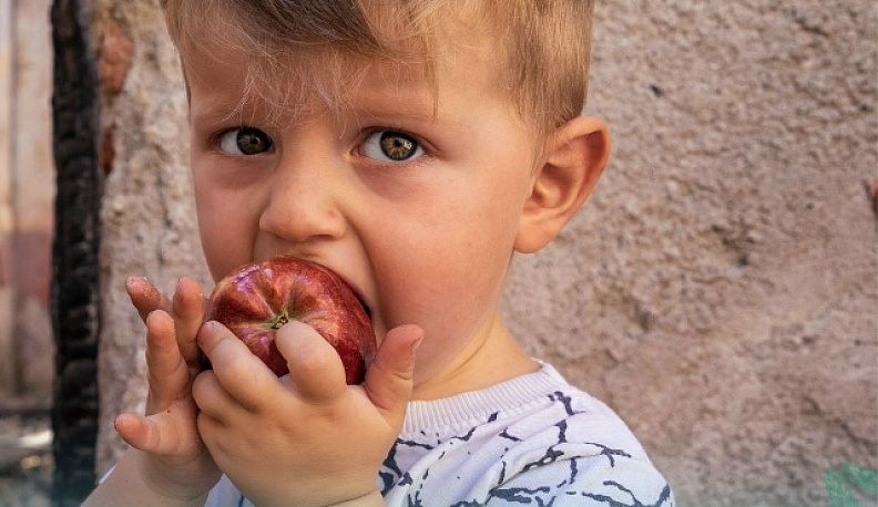 Калужская область наращивает производство яблок