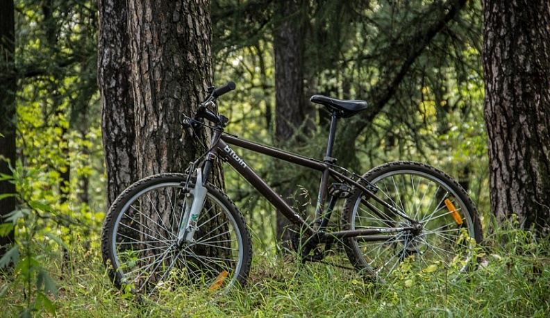 В Калужской области серийного насильника посадили на 8 лет
