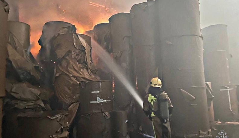 35 пожарных меньше чем за час потушили завод в Балабанове 