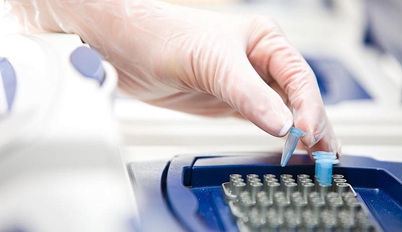 Геномная экспертиза может стать обязательной для всех россиян