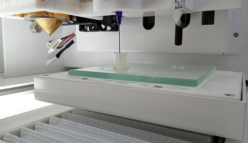 Куда ведут биотехнологии