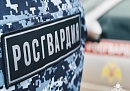 Неделя под защитой: Росгвардия подвела итоги патрулирования Калужской области