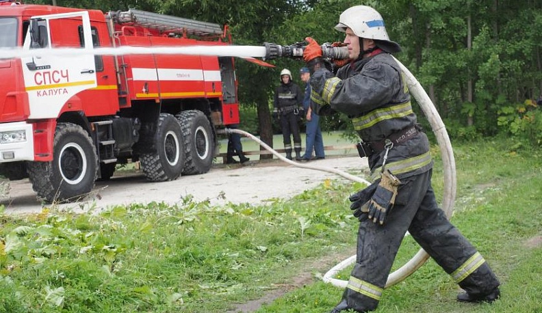 Охране леса помогают национальные проекты