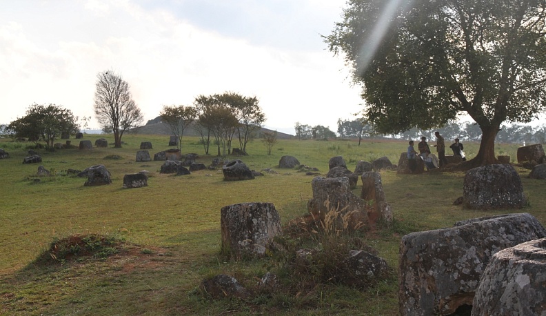 Калужские ученые открыли новый вид водорослей