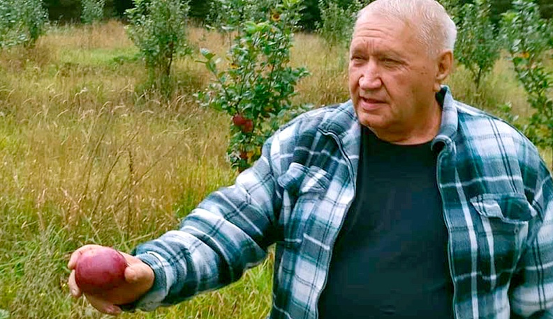 В яблочном раю Михаила  Скрипникова