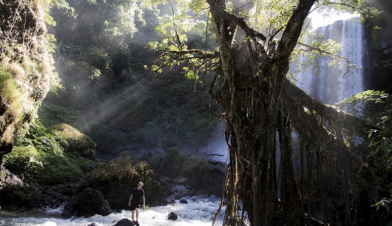 Ловцы гекконов и дзен