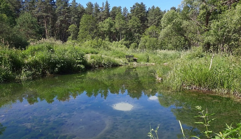 В Дзержинском районе заметили восходящие родники