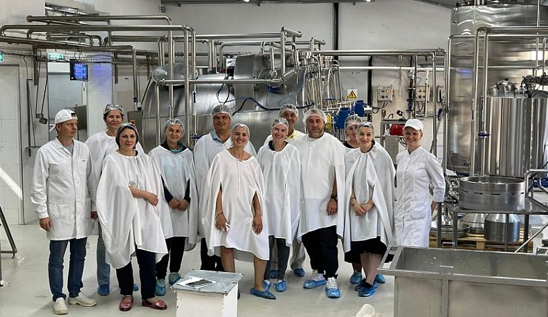 Калужский сыр станет ещё лучше