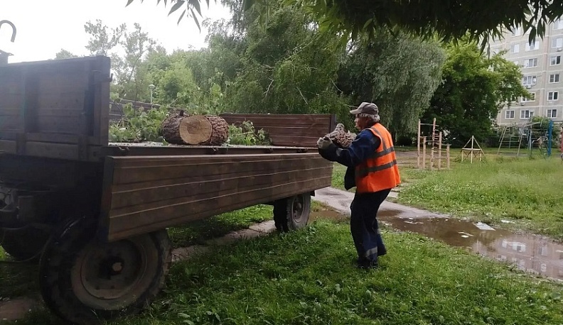 В Обнинске по просьбе жителя с детской площадки убрали спиленное дерево 