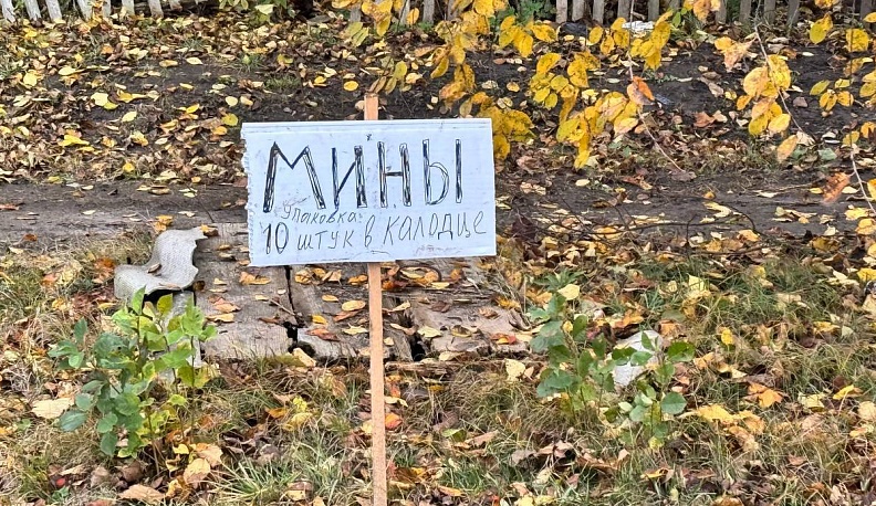 Линия жизни в тысячи километров