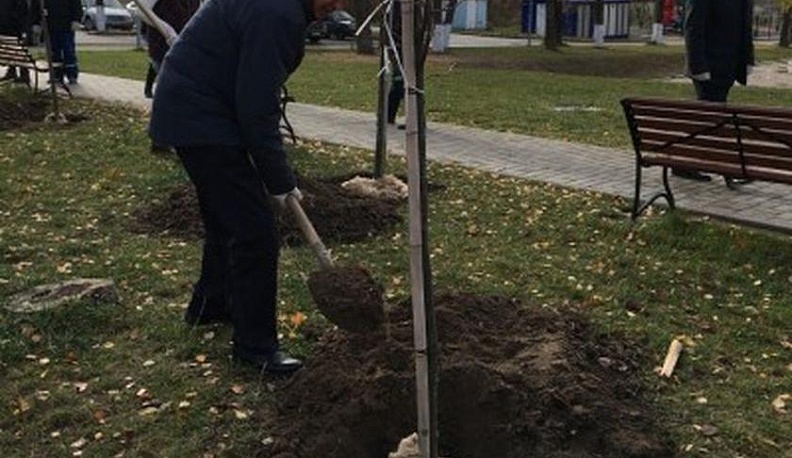 Депутаты озеленяют Калугу