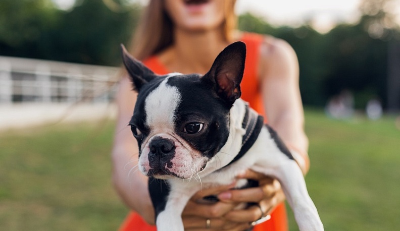 Мошеница выманила у калужанки более 170 тысяч рублей за щенка