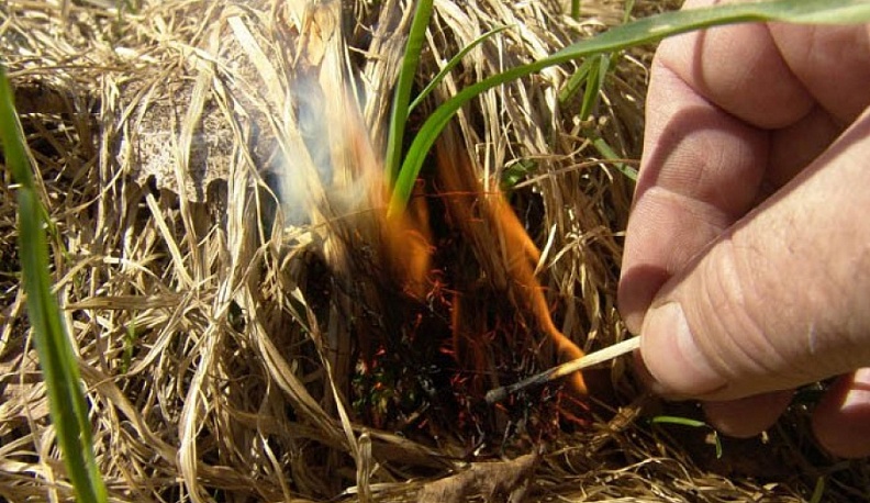 Когда народ жжёт