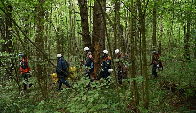 Под Калугой ищут условно заблудившихся в лесу