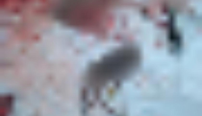 В Калужской области возбудили уголовное дело после убийства беременной лосихи