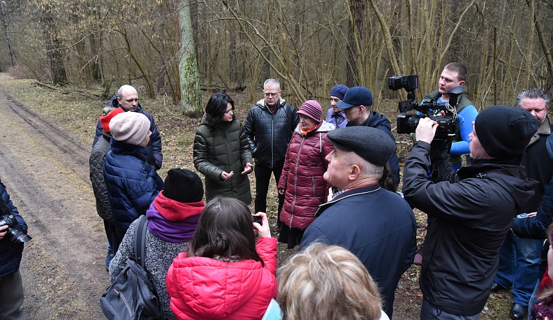 Сыр-бор из-за бора