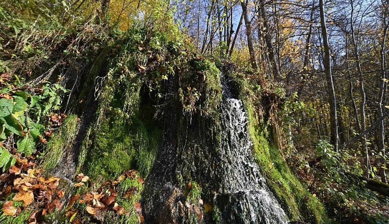 Песни падающей воды