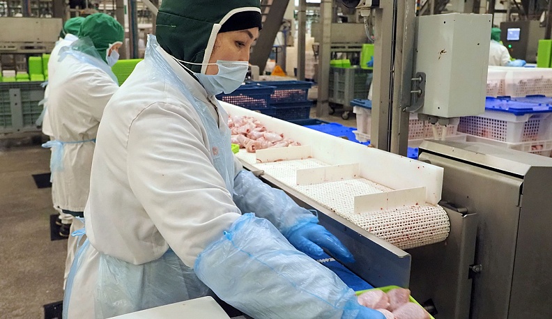 Калужские куры полетели в Поднебесную