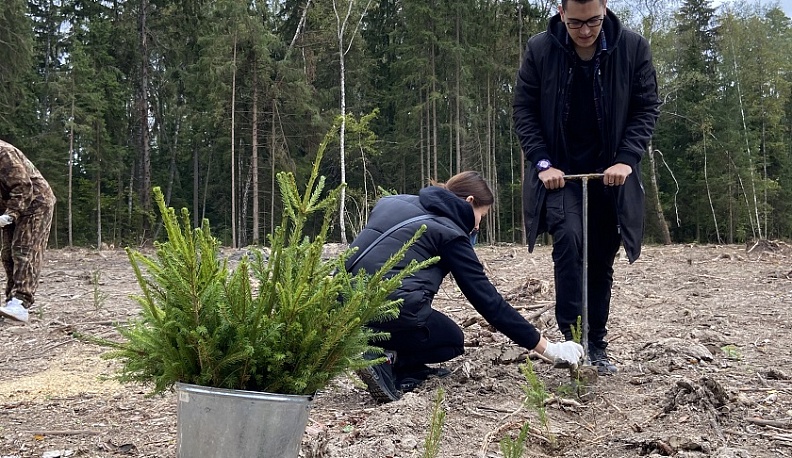 Калужан приглашают поучаствовать в экочеллендже по сохранению лесов России