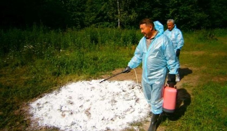 У меня зазвонил телефон. Кто говорит?..