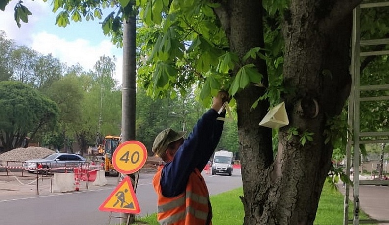 В Обнинске с насекомыми борются феромонными ловушками