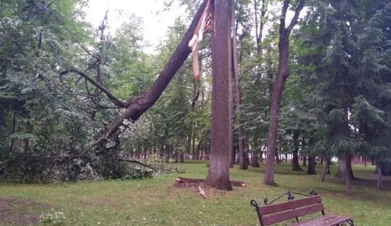В Калуге ураганом ломало деревья и заборы