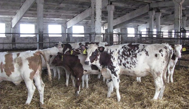 Уроки ферм и полей